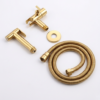 Firefly_Gemini Flash_make it gold 104242 Luxe RVS Bidet Doucheset Goud – Complete 5-in-1 Set