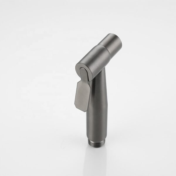 H017235094076441dad7188277970cd30K Luxe Handdouche Bidet Set Mat Grijs - Shattaf Bidet Sprayer - Bidetkraan Toilet - RVS 304 - Bidetdouche Compleet - Grijs